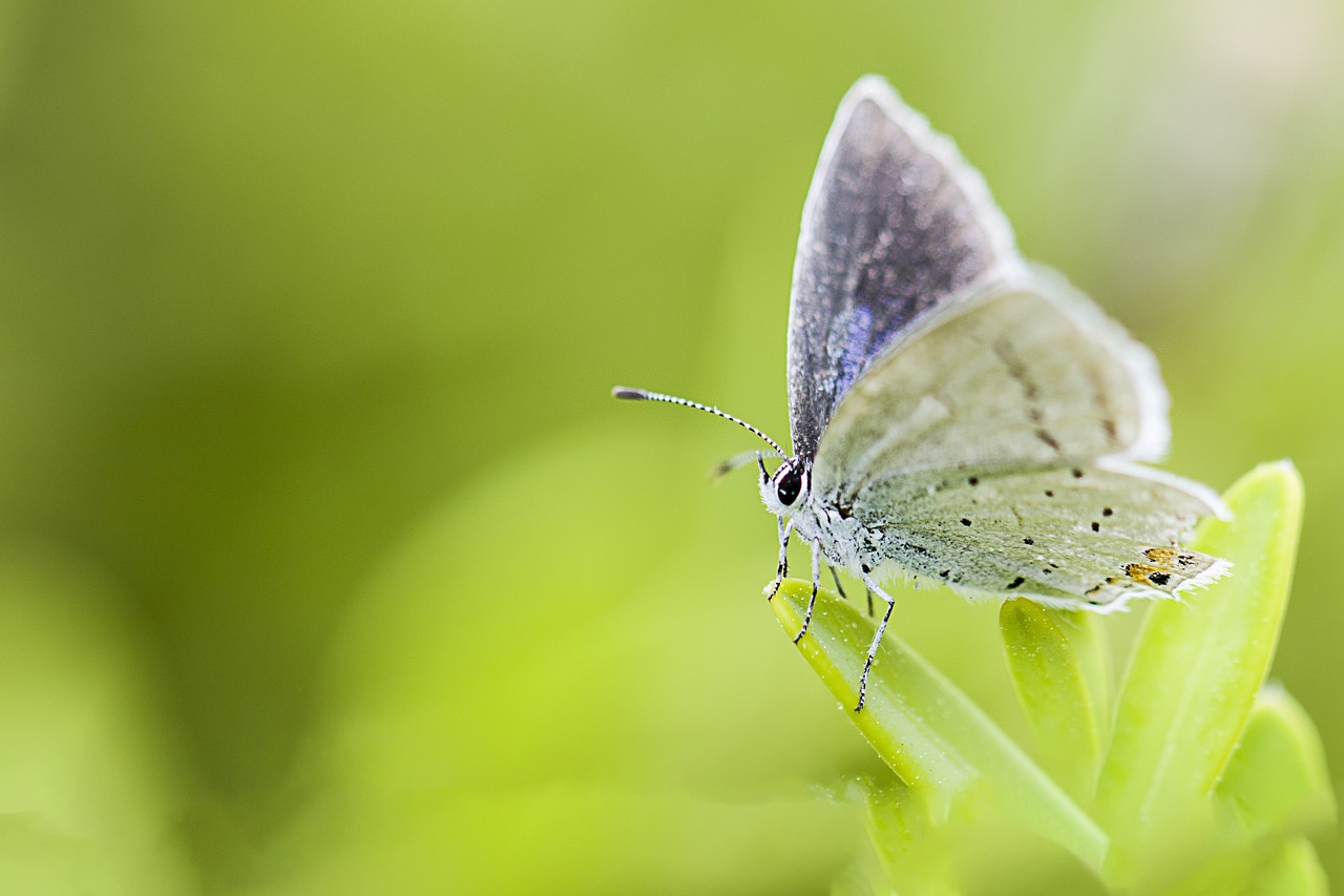 entdecken sie wunderschöne taufbilder, die unvergessliche momente festhalten. unsere professionellen fotografen fangen die emotionalen augenblicke dieser besonderen zeremonie ein und bieten ihnen eine bleibende erinnerung an den tag der taufe.