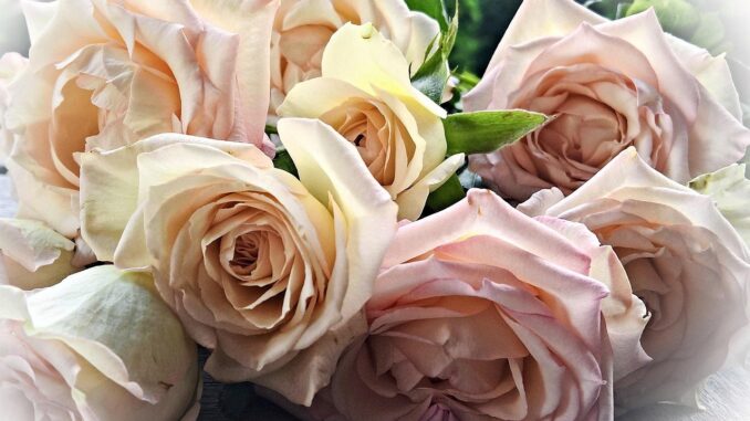 entdecken sie vielfältige geschenkideen zur taufe – von klassischen taufgeschenken bis zu personalisierten erinnerungsstücken, perfekt für jeden täufling.