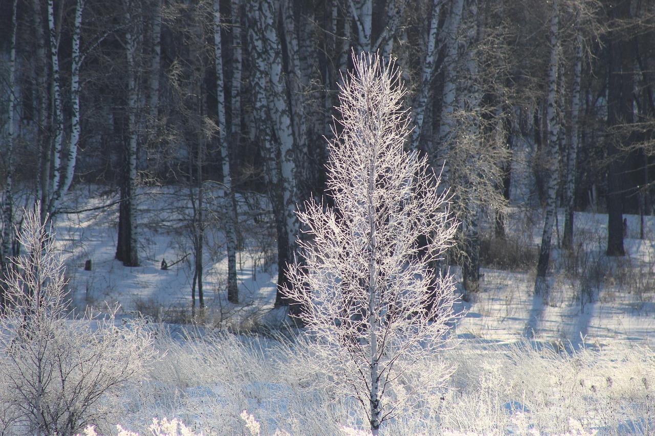 erleben sie die bedeutung und tradition der taufe &ndash; ein besonderer moment des glaubens und der gemeinschaft.